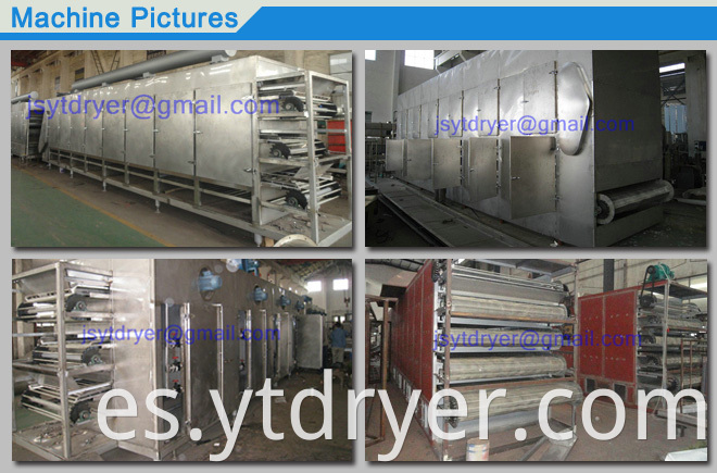 Multilayer Penetrating Belt Dryer